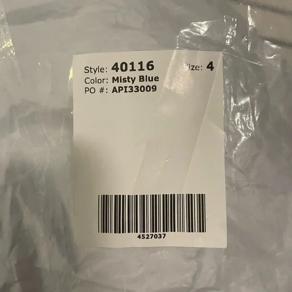 Adrianna Papell Platinum Bridesmaid Dress/ Prom Dress - Picture 2 of 4